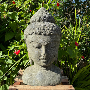 Hand Carved Volcanic Stone Budha Head Feature