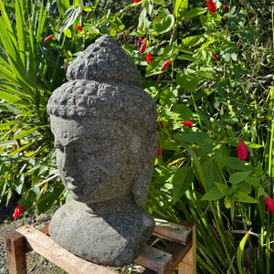 Hand Carved Volcanic Stone Budha Head Feature