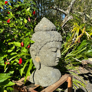 Hand Carved Volcanic Stone Budha Head Feature